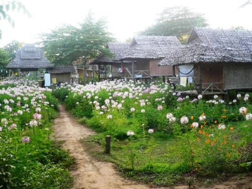 Pai Thailand Apartment Aktionscode Booking.com