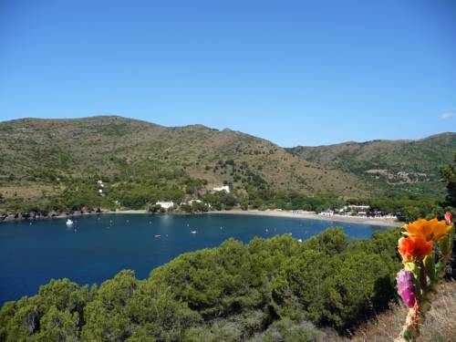 Rosen Spanien Apartment Aktionscode Booking.com